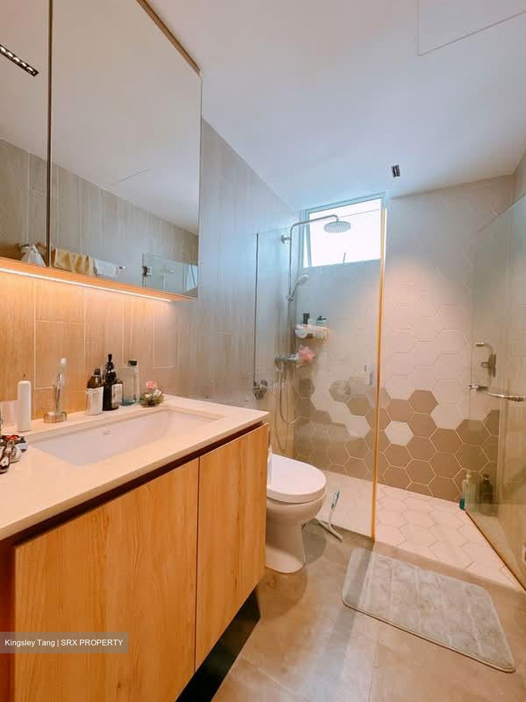 Alessandrea (D3), Apartment #568186731